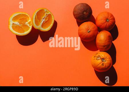 Frische Orangen und verdorbene Früchte, ökologischer Verbrauch Stockfoto