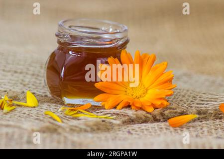 Ein Glas Honig und eine Calendula-Blume Stockfoto