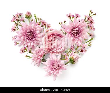 Geblümtes Herz aus einer gefüllten englischen Rose, rosa Chrysanthemen, Knospen und Wachsblumen isoliert auf weißem Hintergrund, Liebe-Design-Element Stockfoto