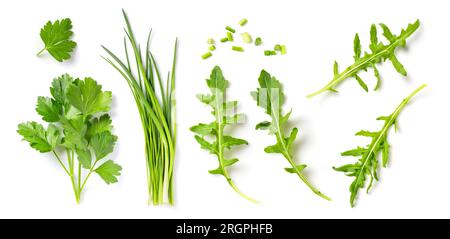 Set frischer mediterraner Kräuter: Petersilie, Schnittlauch und Rucola-Blätter und gehackte Stücke isoliert auf weißem Hintergrund, Designelemente für Kräuternahrung Stockfoto