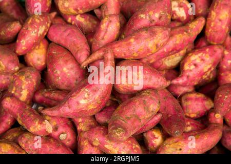 Süßkartoffeln in einem Gemüsestand auf dem Klong Toei Markt in Bangkok. Stockfoto