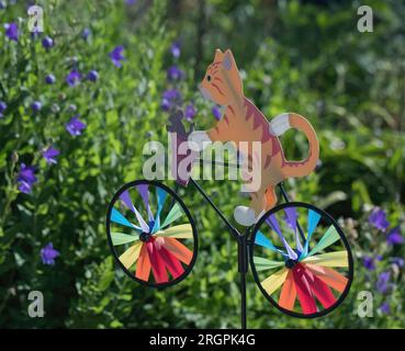 Gartendekoration einer Katze auf einem Fahrrad mit einer Maus in seinem Korb in einem Garten mit Ballonblumen an einem Sommermorgen in Taylors Falls, Minnesota Stockfoto