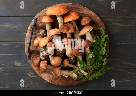 Porcini Pilze oder Pilze ein Orangenkappenboletus auf altem, rustikalem Holztisch. Bio-forstwirtschaftliche Lebensmittel. Konzept der Herbsternte. Essbar fr Stockfoto