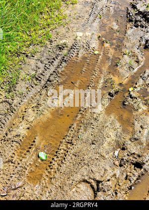 Schlammige Mountainbike-Strecken mit ausgeprägten Reifenspuren auf erdigem Boden. Stockfoto