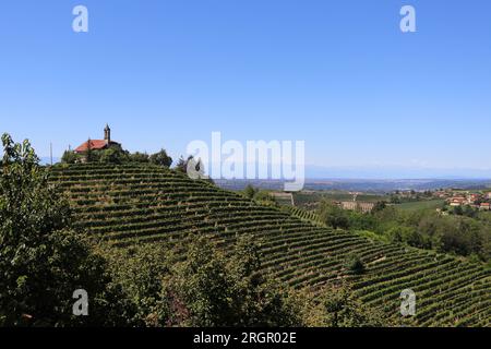 Die Weinberge und das Weingut von Anna Maria Abbona, Moncucco, Italien Stockfoto