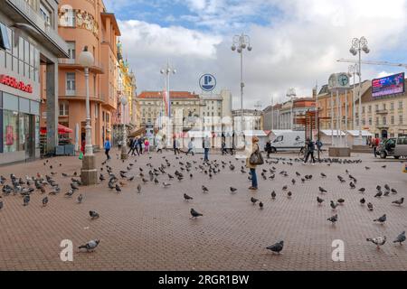 Zagreb, Kroatien - 04. November 2019: Taubenflocke am Platz Ban Josip Jelacic im Stadtzentrum der Hauptstadt. Stockfoto