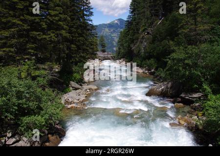 Der Fluss Krimmler Ache in der Nähe der Krimml-Warterfalls mit Bäumen und blauem Himmel. Stockfoto