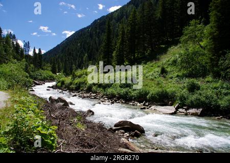 Der Fluss Krimmler Ache in der Nähe der Krimml-Warterfalls mit Bäumen und blauem Himmel. Stockfoto