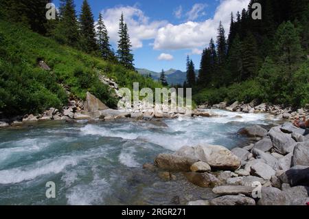 Der Fluss Krimmler Ache in der Nähe der Krimml-Warterfalls mit Bäumen und blauem Himmel. Stockfoto