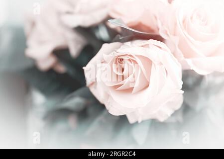 Sanfte Pastelltöne von Rosen in einem Bouquet mit hellen Rändern für Hintergründe und Verbundstoffe Stockfoto