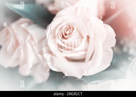 Sanfte Pastelltöne von Rosen in einem Bouquet mit hellen Rändern für Hintergründe und Verbundstoffe Stockfoto