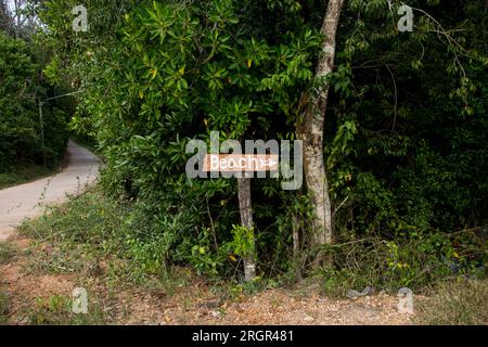 Holzschild, das die Richtung zum Strand auf der Insel Ko Yao im Süden Thailands angibt. Stockfoto