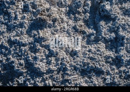 Oberfläche eines getrockneten Salzsees Stockfoto