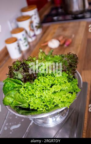 Gemischte Salatblätter, einschließlich Frisee und roter Blattsalat, die in einem essfertigen Sieb gewaschen werden Stockfoto