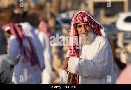 Buraydah, Saudi-Arabien, 4. August 2023: Alter Mann, der Kamele auf dem Kamelmarkt in der Stadt Buraydah ansieht Stockfoto