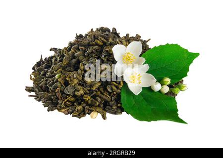 Getrocknete Teeblätter und frische Jasminblumen mit grünen Blättern auf weißem Hintergrund Stockfoto