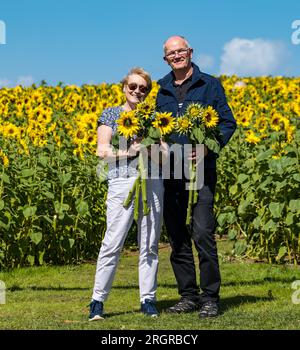 Balgone Farm, East Lothian, Schottland, Vereinigtes Königreich, 11. August 2023. Balgone Farm Sunflower Trail: Die Testversion bietet Besuchern die Möglichkeit, PYO-Sonnenblumen zu sehen. Abgebildet: Anne-Marie und Muir halten Sonnenblumen, die sie geerntet haben. Sally Anderson/Alamy Live News Stockfoto