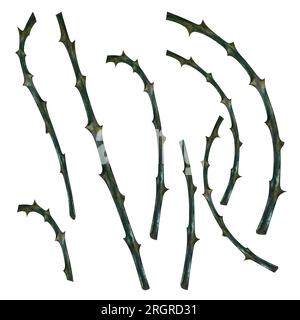 Stiele aus dunkellila Rosen handgezeichnet in Aquarell für Designkarten, Einladungen, Stoffmuster für Geburtstag, Nachtparty, halloween Stockfoto