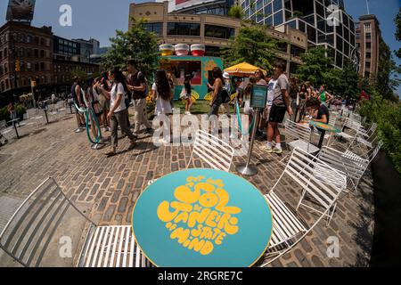 Am Sonntag, den 6. August 2023, 2023 stellen sich Hunderte an, um kostenlose Proben und Eiswürfel bei einer Markenaktivierung von Sol de Janeiro im Meatpacking District in New York zu erhalten. Das Pop-up-Fenster ist Teil der Werbeaktivitäten der Marke für Körper- und Haarpflege. (© Richard B. Levine) Stockfoto