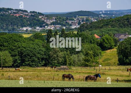 Weide mit Pferden, über dem Ruhrgebiet bei Wengern, Bezirk Wetter an der Ruhr, im Ennepe-Ruhr-Bezirk, Blick auf die Stadt Wetter, NRW, deutsch Stockfoto