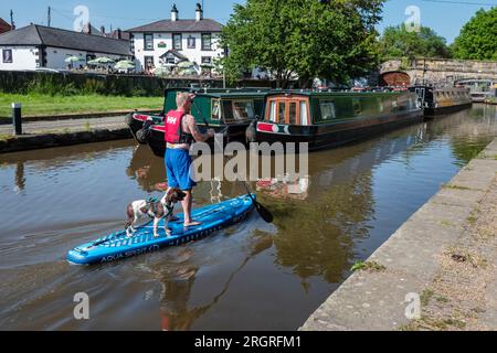 Ein Mann, der mit seinem Hund auf dem Llangollen Canal in Trevor Basin, Clwyd, Nordwales, auf einem Stand-Up-Paddle-Board paddelt Stockfoto