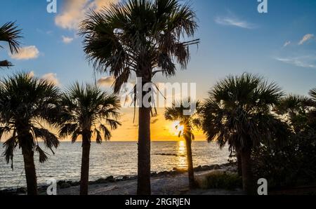 Am Caspersen Beach in Venice, Florida, USA, liegt die Sonne am Golf von Mexiko hinter silhouettierten Palmen Stockfoto