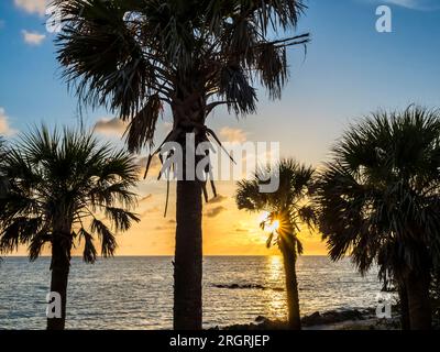 Am Caspersen Beach in Venice, Florida, USA, liegt die Sonne am Golf von Mexiko hinter silhouettierten Palmen Stockfoto