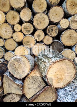 Birkenholz wird in Holzhaufen gestapelt, Vollformat. Wand aus alten Holzstämmen. Muster der Jahresringe am Baumschnitt. Natürlicher Hintergrund. Selektiv Stockfoto