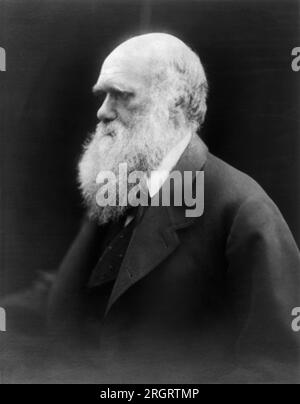 England: c. 1870 Ein Porträt des Wissenschaftlers und Naturforschers Charles Darwin von Julia Margaret Cameron. Stockfoto
