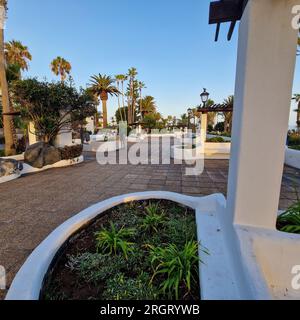 Bei Sonnenaufgang erwacht Puerto de la Cruz mit der sanften Umarmung der Morgensonne. Die Stadt, immer noch in den Überresten der Nacht eingewickelt, beginnt zu schwingen Stockfoto