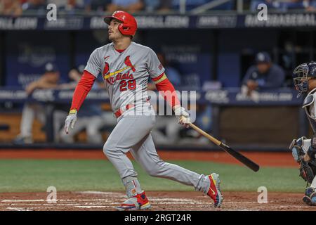 St. Petersburg, Florida, USA; während eines Spiels der MLB am Donnerstag, den 10. August 2023 auf dem Tropicana Field. Die Cardinals schlugen die Strahlen 5-2. (Kim Hukari/Bild: SpO Stockfoto