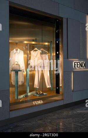 The Fendi Store im Hudson Yards Shopping Complex, New York City, 2023, USA Stockfoto