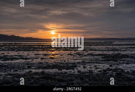 Sonnenuntergang am Strand bei Ebbe Stockfoto