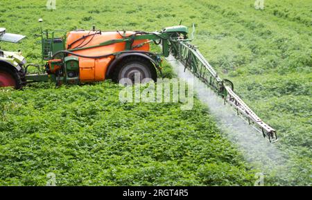 Pestizid auf Kartoffelpflanzen sprühen Stockfoto