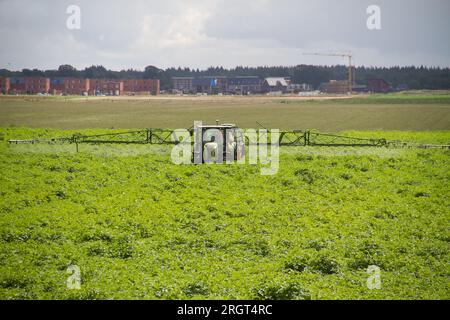 Pestizidbesprühung auf Kartoffelpflanzen in der Nähe eines neuen Wohngebietes Stockfoto