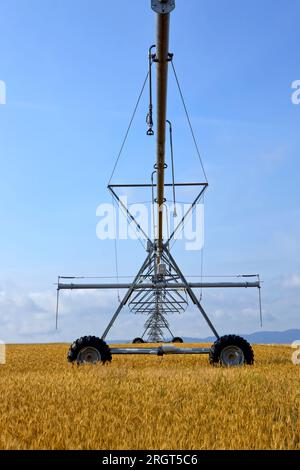 Ein großes Bewässerungsrohrsystem steht auf einem bereits geernteten Feld in der Nähe von Rathdrum, Idaho. Stockfoto