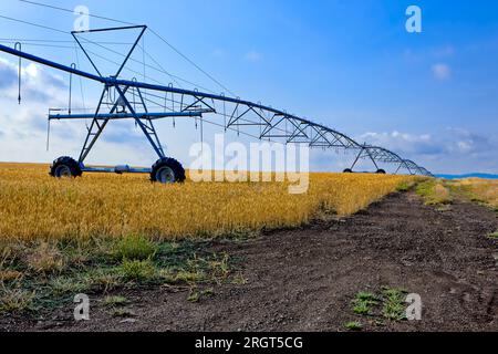 Ein großes Bewässerungsrohrsystem steht auf einem bereits geernteten Feld in der Nähe von Rathdrum, Idaho. Stockfoto