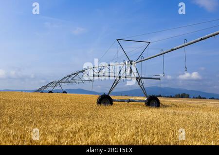 Ein großes Bewässerungsrohrsystem steht auf einem bereits geernteten Feld in der Nähe von Rathdrum, Idaho. Stockfoto