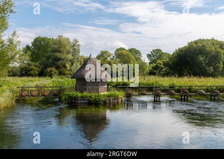 Longstock Aalfallen und strohgedeckte Fischerunterkünfte auf dem River Test, Longstock, Hampshire, England, Vereinigtes Königreich Stockfoto