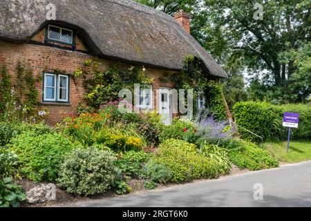 Hübsches strohgedecktes Cottage und Blumengarten in Longstock Village, Hampshire, England, Großbritannien, mit Immobilienmaklern für Sale Board. Immobilienmarkt Stockfoto