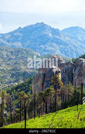 Der Meadow Trail bietet einen Blick auf Tucson im August, Mount Lemmon, Santa Catalina Mountains, Coronado National Forest, Summerhaven, Arizona, USA Stockfoto