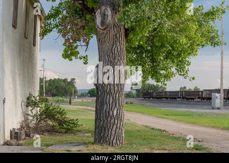 Die Geisterstadt Ardmore, SD, hatte bei der Volkszählung von 2020 1 Einwohner. Es liegt etwa 1,5 km von der Nebraska-Grenze in South Dakota am Highway 71 entfernt. Stockfoto