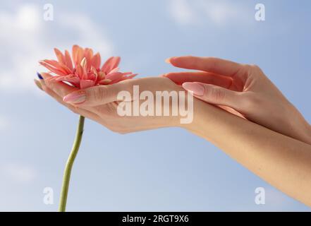 Rosa Blumen in der Hand auf weißem Hintergrund. Beauty und Frauengesundheitskonzept Stockfoto