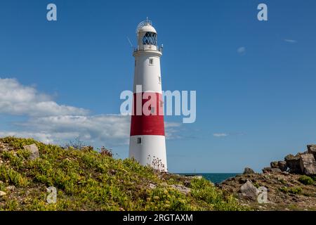 Portland Bill Lighthouse in Dorset an einem sonnigen Sommertag Stockfoto