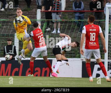 BetMcLean Oval, Belfast, Nordirland, Großbritannien. 11 Aug 2023. Sports Direct Premiership – Glentoran gegen Larne, Premiership-Action vom heutigen Spiel in Belfast. (Glentoran in Weiß). Larne Torwart Rohan Ferguson versammelt sich unter dem Druck von Jay Donnelly. Kredit: CAZIMB/Alamy Live News. Stockfoto