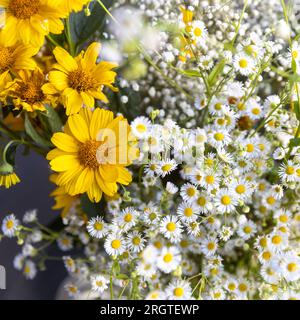 Gelbe Sonnenblumen, weiße Gänseblümchen und Gänseblümchen in einem Blumenstrauß für Geburtstage und besondere Anlässe Stockfoto