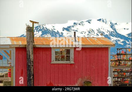 ICY STRAIT, ALASKA - 9. Mai 2023: Die Icy Strait ist eine Meerenge im Alexander-Archipel im Südosten Alaskas. Das nahegelegene Kreuzfahrtschiff Stockfoto