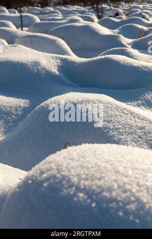 Große Schneewehen nach Schneefällen und Schneestürmen, die Wintersaison mit kaltem Wetter und vielen Niederschlägen in Form von Schnee Stockfoto