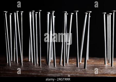 Nägel aus Stahl oder anderem hochwertigen Metall für Bau- und Installationsarbeiten, nur Nägel werden chaotisch eingetrieben Stockfoto