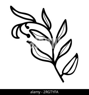 Vektor-handgezeichnete Silhouette eines Astes mit Blättern. Doodle Umriss auf weißem Hintergrund. Zweigskizzen. Handgezeichnetes Vektorblütenelement Stock Vektor